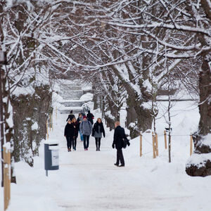 Winter scenery from Otaniemi campus