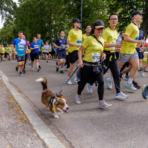 Joukko juoksijoita kilpailussa, yksi henkilö koiran kanssa. Puita ja ruohoa reitin varrella.