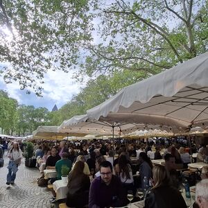 Cologne winefestival