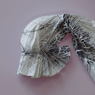 Microscopic image: Pezhman Mohammadi Design: Nina Riutta