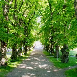 Otaniemi Lehmuskuja (photo Mikko Raskinen)
