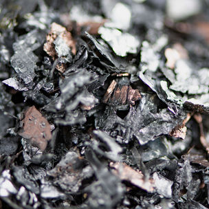 BatCircle_DSC_6517_photo Valeria Azovskaya