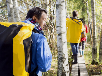 Aalto-health-forest-hiking