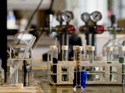 Dissolution and precipitation of rare earth elements in the CloseLoop project. 