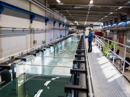Aalto University Environmental Hydraulics Lab