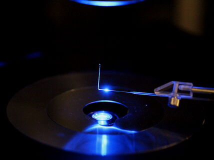 A nematode worm held in a micropipette