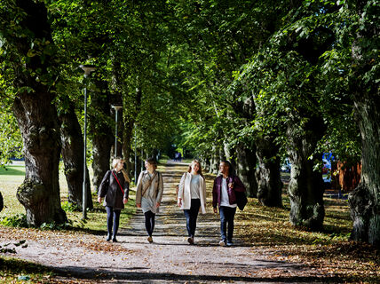 Aalto_Otaniemi_Summer