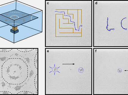 A surprising experiment opens the path to new particle manipulation methods
