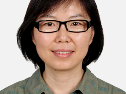 Hailei Zhao 