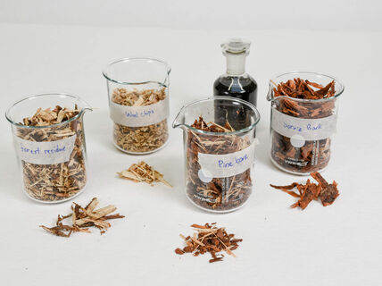 Lignocellulose samples by Mohamed Magd. Photo: Valeria Azovskaya