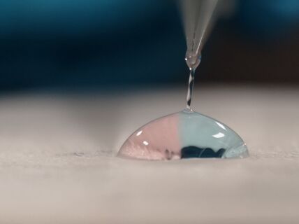 Ravunkuorista ja merilevästä tehtyä lankaa