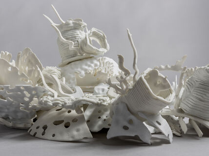 Linda Mandell_Barrier_LJ1A9611