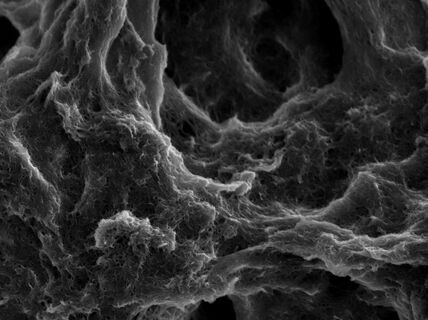 Nature-imitating coating, picture: Juho Heiska