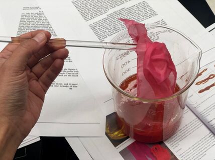 Testing 16th century dye recipes. Photo: Refashioning the Renaissance project, 2019