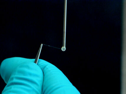 Photo by Teemu Välisalmi