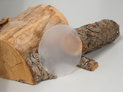 Solar Energy Through ChemisTree Photo: Glen Forde