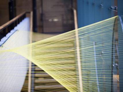 Kuvituskuva: SCIn kristallikukat