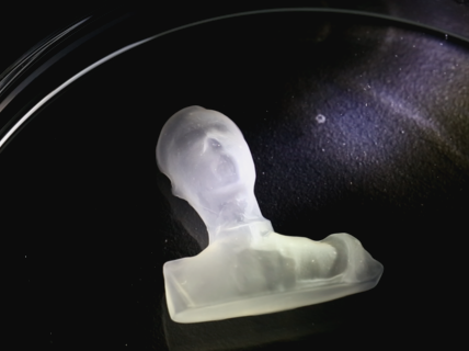 With the right guidance, certain bacteria can produce 3D objects made of nanocellulose