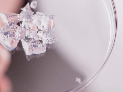 Vaaleanpunertavia ja läpikuultavia nanoselluloosa- ja agaroosikiteitä laboratoriomaljassa. Kuva Valeria Azovskaya