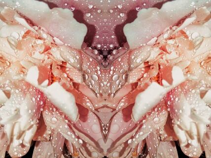 Valokuvauksen koulutusohjelman verkkosivut_Kuva: Rosenlund Kukka