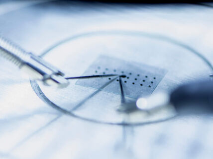 A detail of brainlike computing research, photo by Valeria Azovskaya