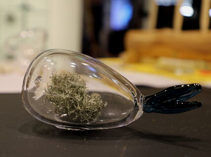 A glass sculpture of a schematic fish, transparent except for the black tail, holding dry moss inside the belly. 