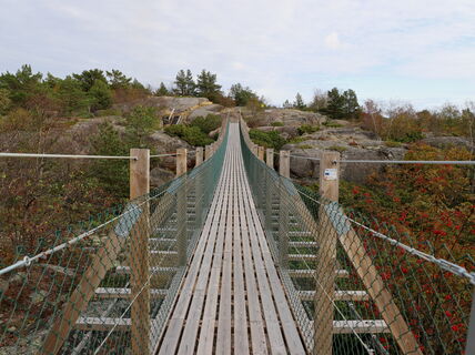 A suspended narrow wooden bridge cruising over a rocky island landscape, surrounded by flowered bushes.