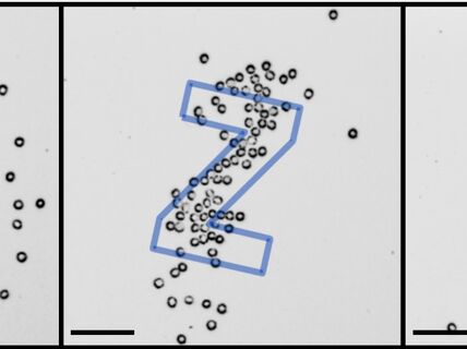 Tilannekuvia siitä, miten hiukkaset muuttavat muotoaan prosessin eri vaiheissa niitten alkuperäisestä jakautumisesta lopputulokseen. Kuva: Aalto-yliopisto