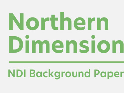 NDI Background Paper logo