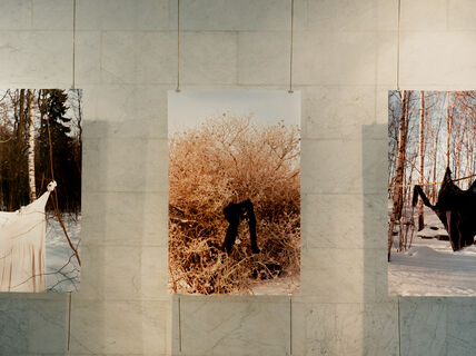 photo of photos on a wall