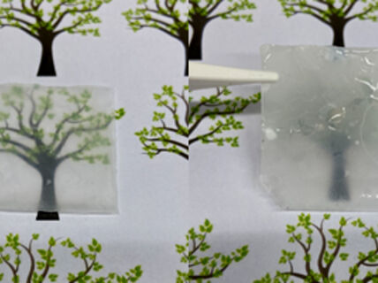 nanoselluloosakalvoja