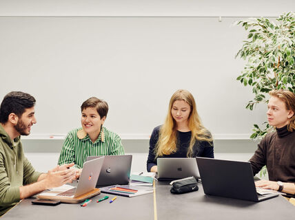 Group of student working together