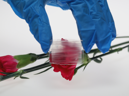 SUBSTAINABLE webpage, main image. Photo by Aalto University, Maija Vaara, Mithila Mohan