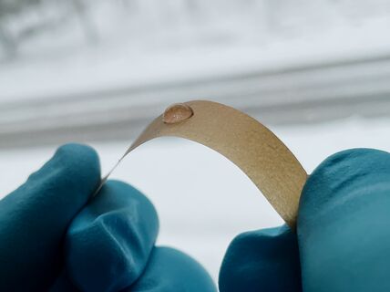 Sinisiin muovihanskoihin puetut kädet taivuttavat ruskeaa kalvoa, jonka päällä on vesipisara. 