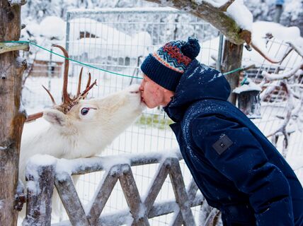 The photo shows a man and a reindeer greeting each other in a wintry environment.