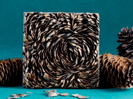 Iines Jakovlevin teos. Kuva: Anne Kinnunen