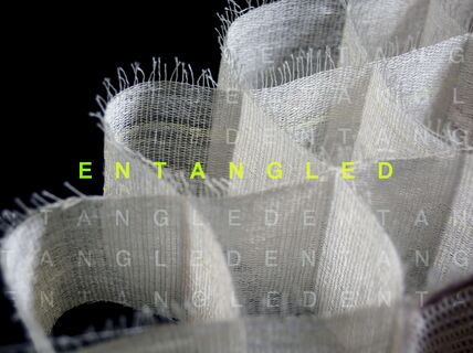 Entangled exhibition. Image by Mithila Mohan. Photo by Maija Vaara