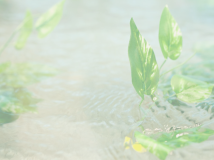Green plant in water