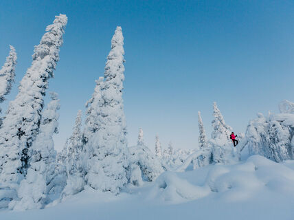 Snowy landscape in Levi