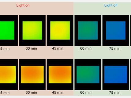 Image by Fangxin Zou and Yujiao Dong / Aalto University