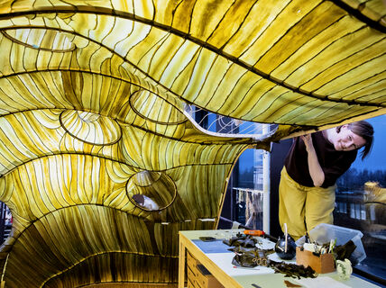 Julia Lohmann in her office with large seaweed sculpture