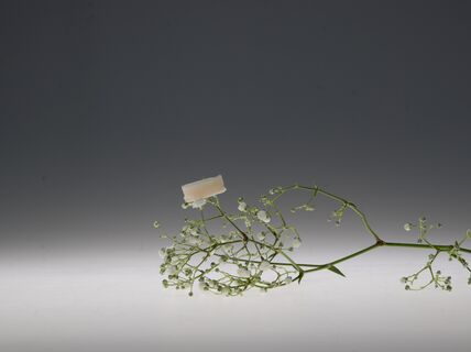 Aerogel sample, MMD group, SUPER-WEAR project. Photo by Maija Vaara & Mithila Mohan, Aalto University