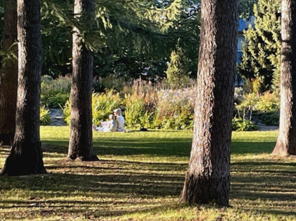 Two people sit on the grass in a park, partially shaded by trees, with colourful flowers and greenery in the background.