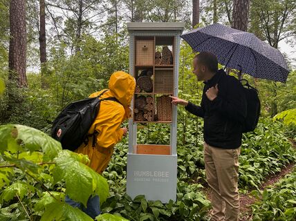 Mehiläispesä Humblebee Aallon kampuksella