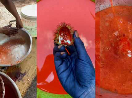 A collage of the process of dyeing with achiote, a fruit that yields orange colour. A blue-dyed hand is holding it while liquid is poured.