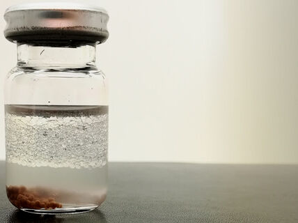 Biocatalysts (pictured at the bottom of the vial), supported by spherical lignin particles and embedded in natural polymer matrix, open new avenues to green synthesis reactions in the presence of water. Photo: Valeria Azovskaya