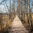 Path in the Laajalahti nature area