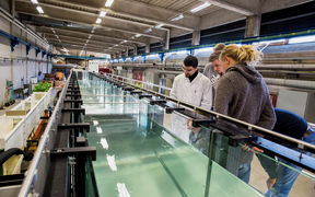 Aalto Research groups