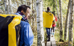 Aalto-health-forest-hiking