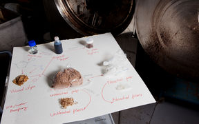 GVL biorefinery Photo: Aalto University / Anni Hanén